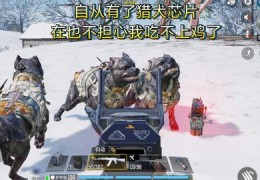 手游生存打猎游戏怎么玩，手游生存打猎游戏怎么玩的