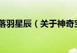 神奇宝贝之落羽星辰官方版游戏下载，安卓苹果ios版本下载