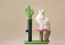 手游猫咪集锦怎么玩，手游猫咪集锦怎么玩的