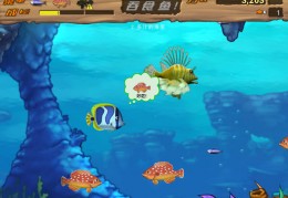 大鱼吃小鱼（休闲游戏）下载，大鱼吃小鱼（休闲游戏）免收费下载安装