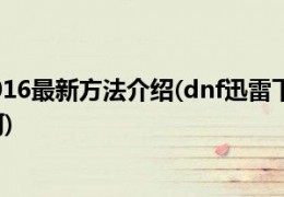 dnf在线下载 迅雷下载地址_dnf迅雷下载地址