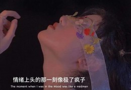 抖音热图朋友圈已装监控 高清版下载，抖音热图朋友圈已装监控 高清版免收费下载安装